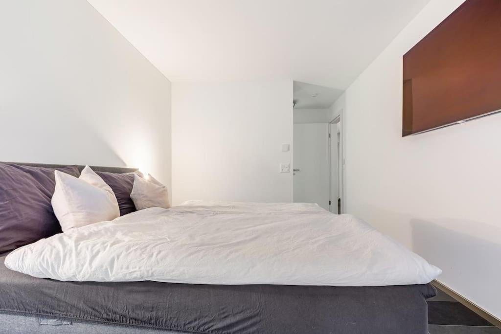 Luxus Wohnung Mit Garten Zurich Exterior photo